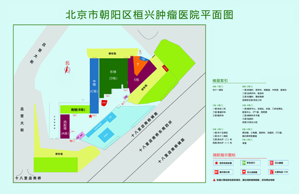 老男人操逼北京市朝阳区桓兴肿瘤医院平面图